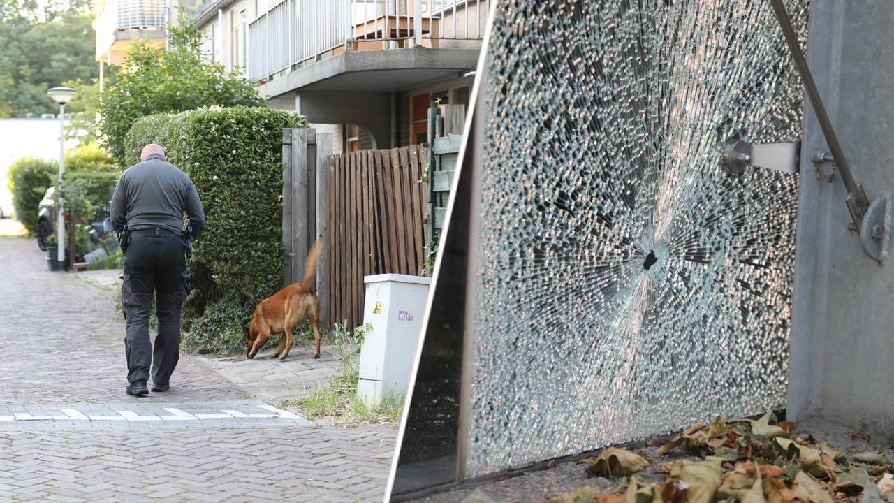 Politie doet onderzoek in Bergen op Zoom nadat er schoten zijn gelost (foto: Christian Traets / Persbureau Heitink). 