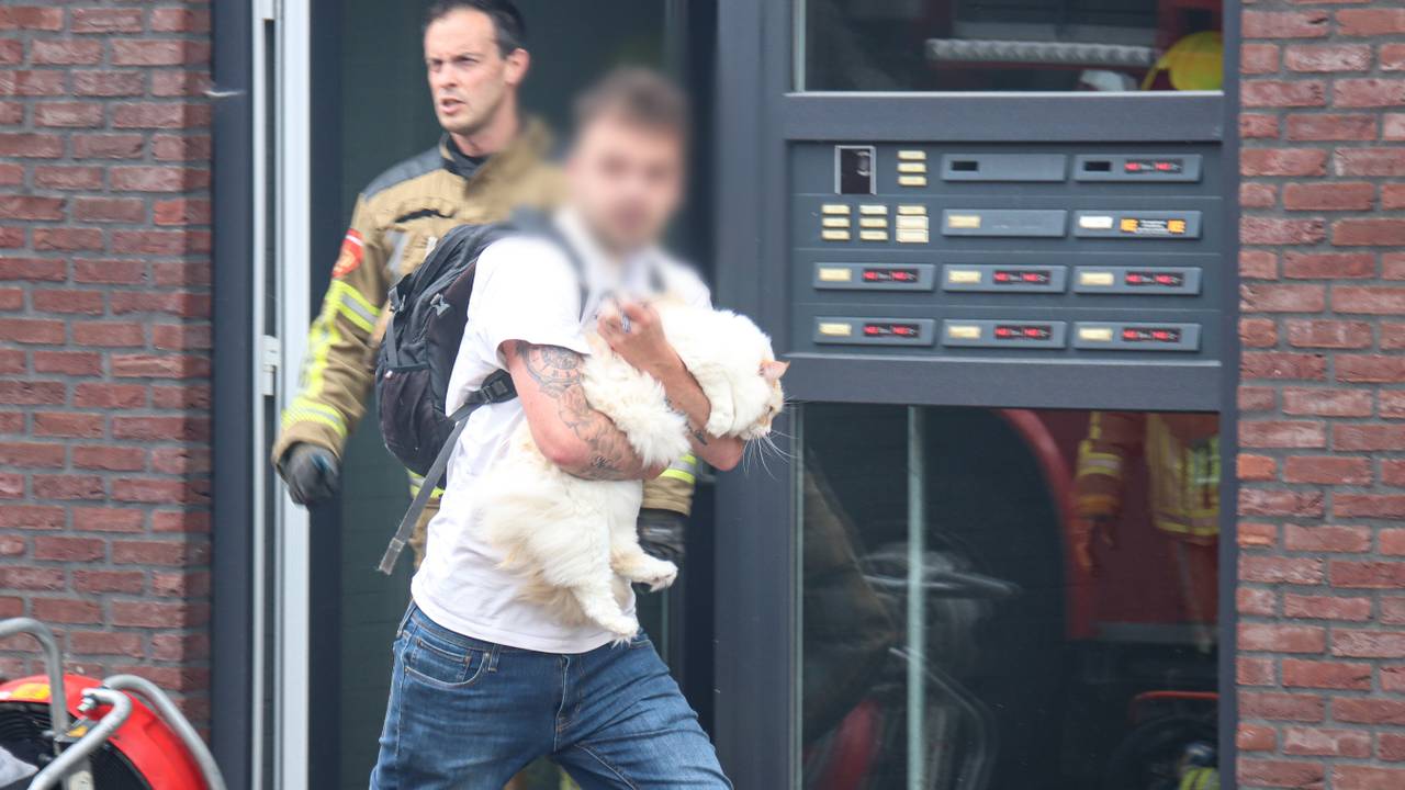 Een aantal bewoners aan de Hoefstraat moesten hun appartement verlaten (foto: Corrado Francke).