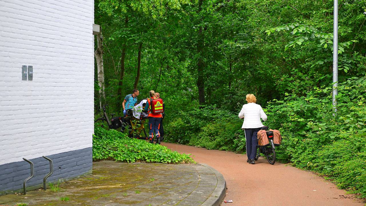 Foto: Rico Vogels/Persbureau Heitink.