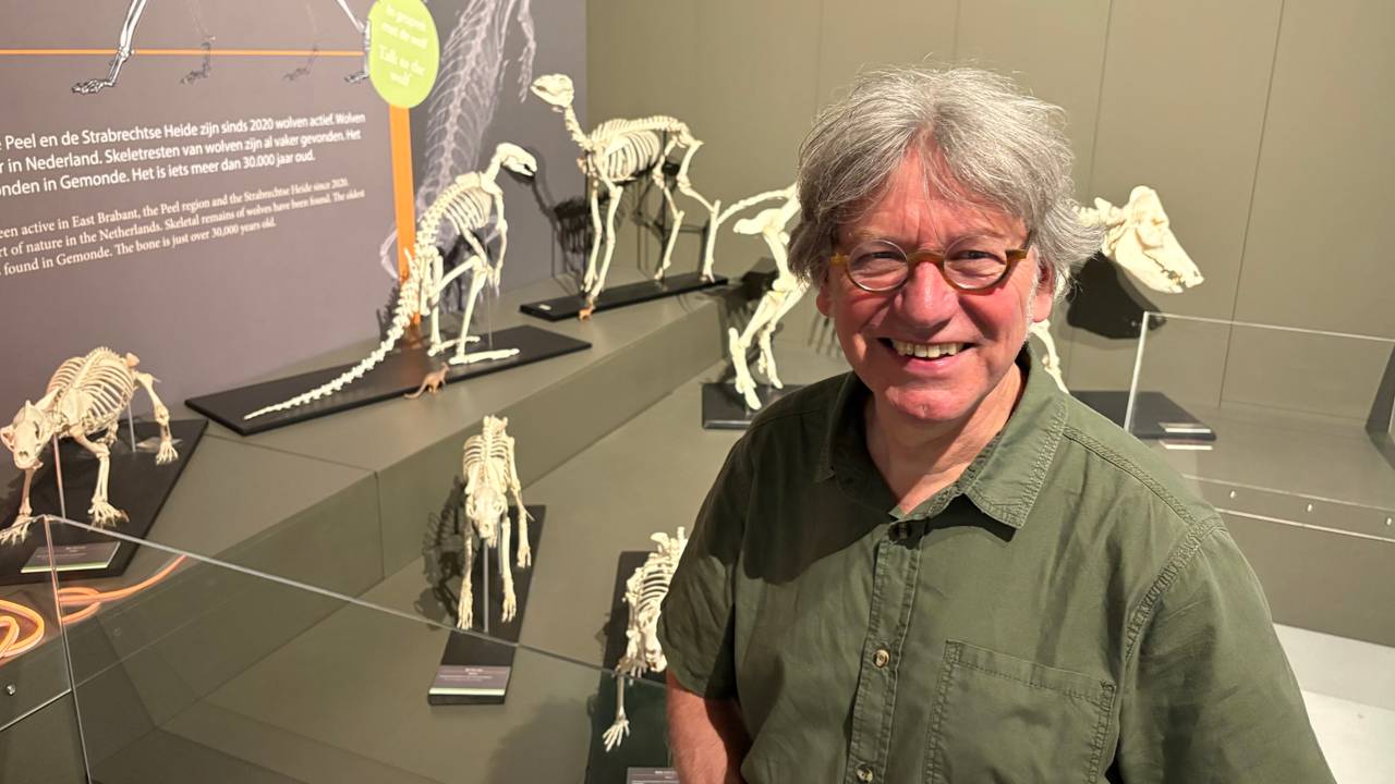 Skelettenbouwer Theo de Jong bij een deel van zijn collectie (Foto: Alice van der Plas)
