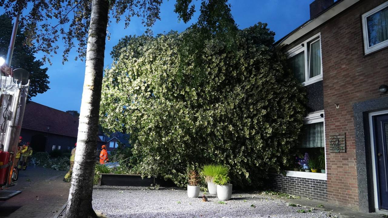 p het moment dat de boom omviel, waren er zware windstoten en onweerde het in Molenschot (foto: Jeroen Stuve/Persbureau Heitink).