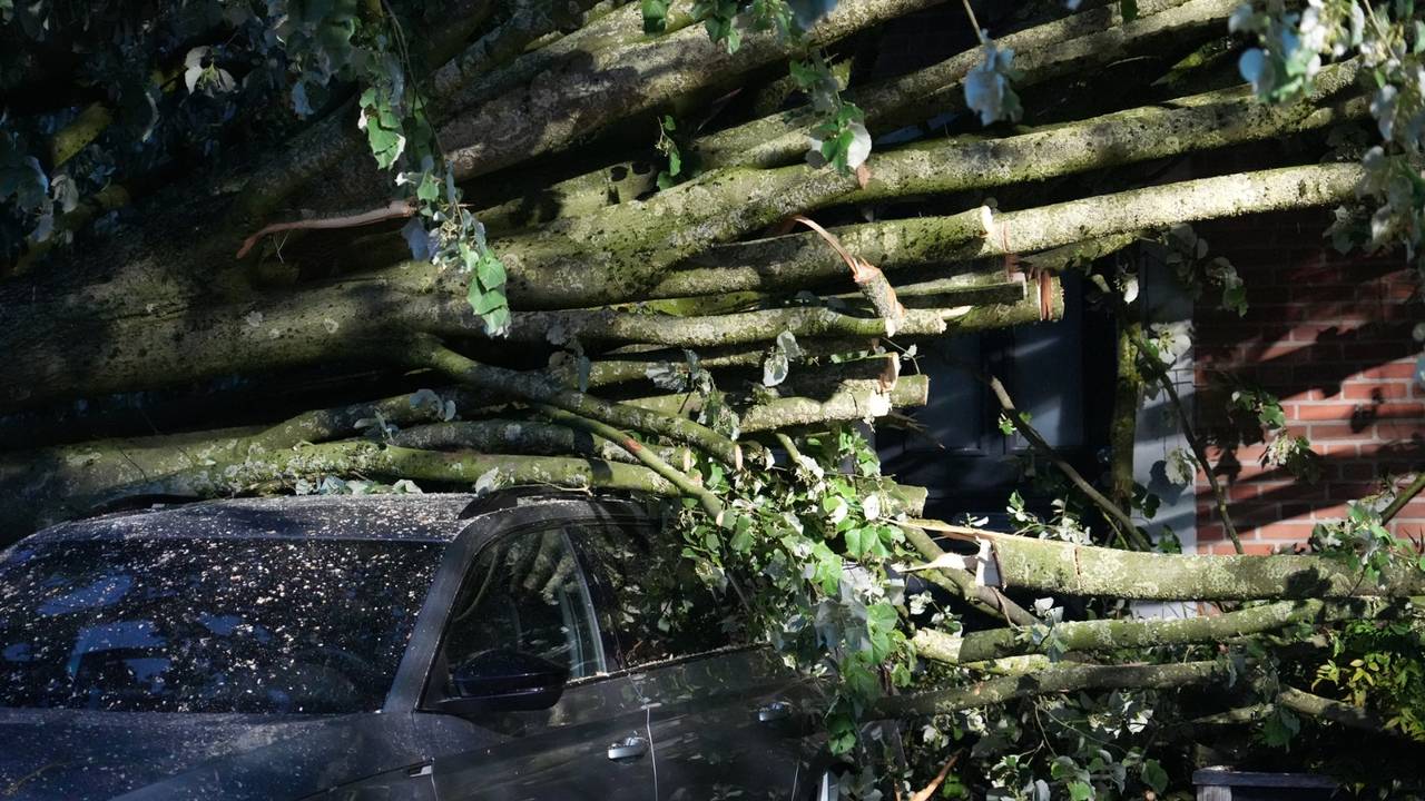 De boom plette ook een geparkeerde auto (foto: Jeroen Stuve/Persbureau Heitink).