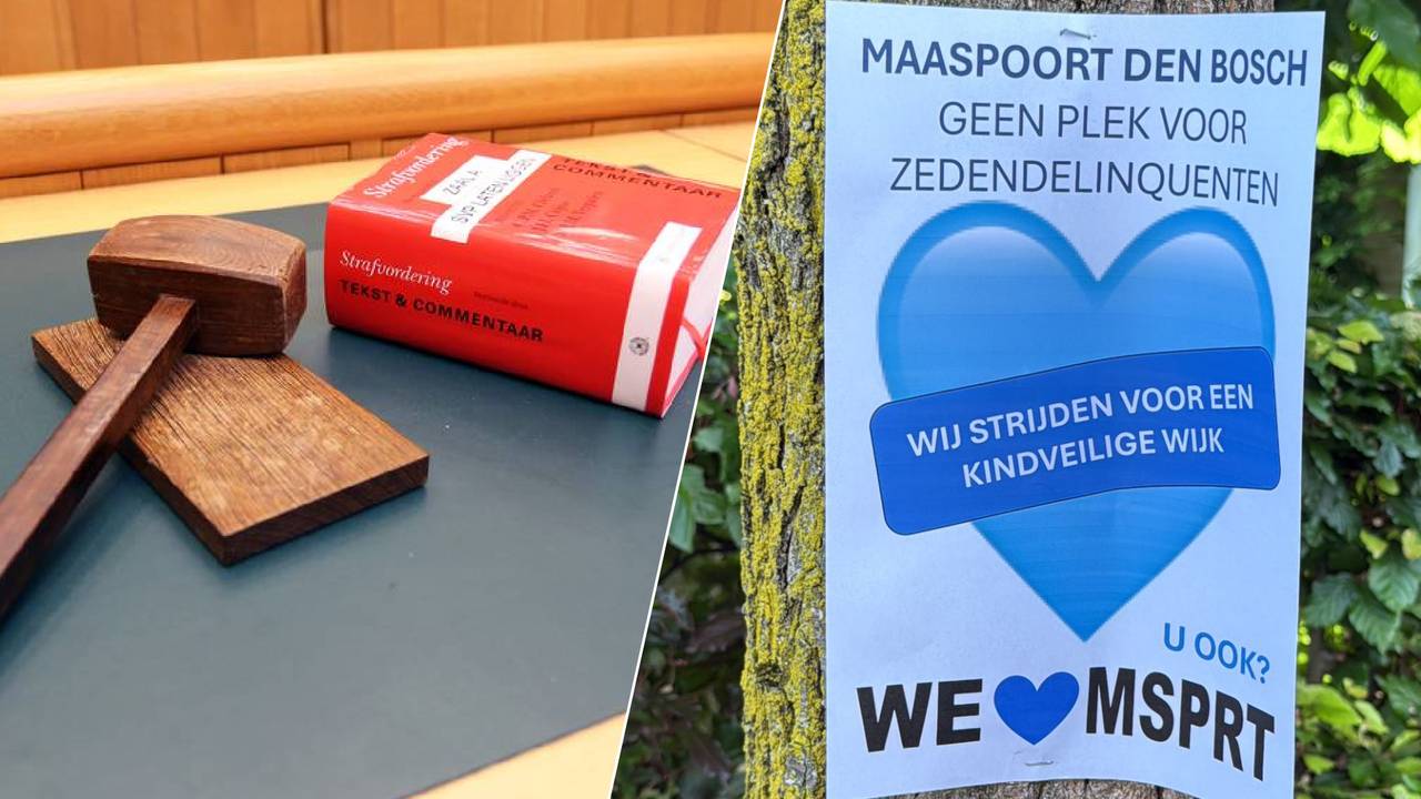 De buren gingen de straat op met posters (foto: buurvrouw en Omroep Brabant).