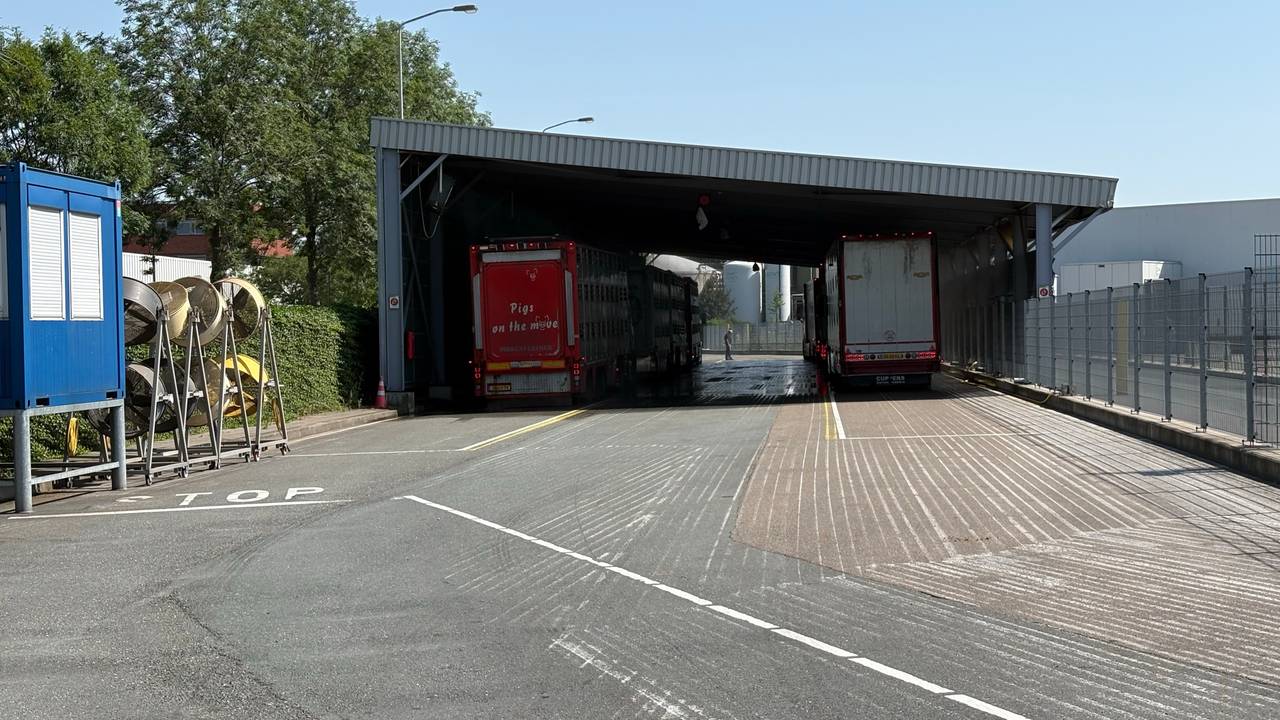 De slachterij in Boxtel (foto: Omroep Brabant).