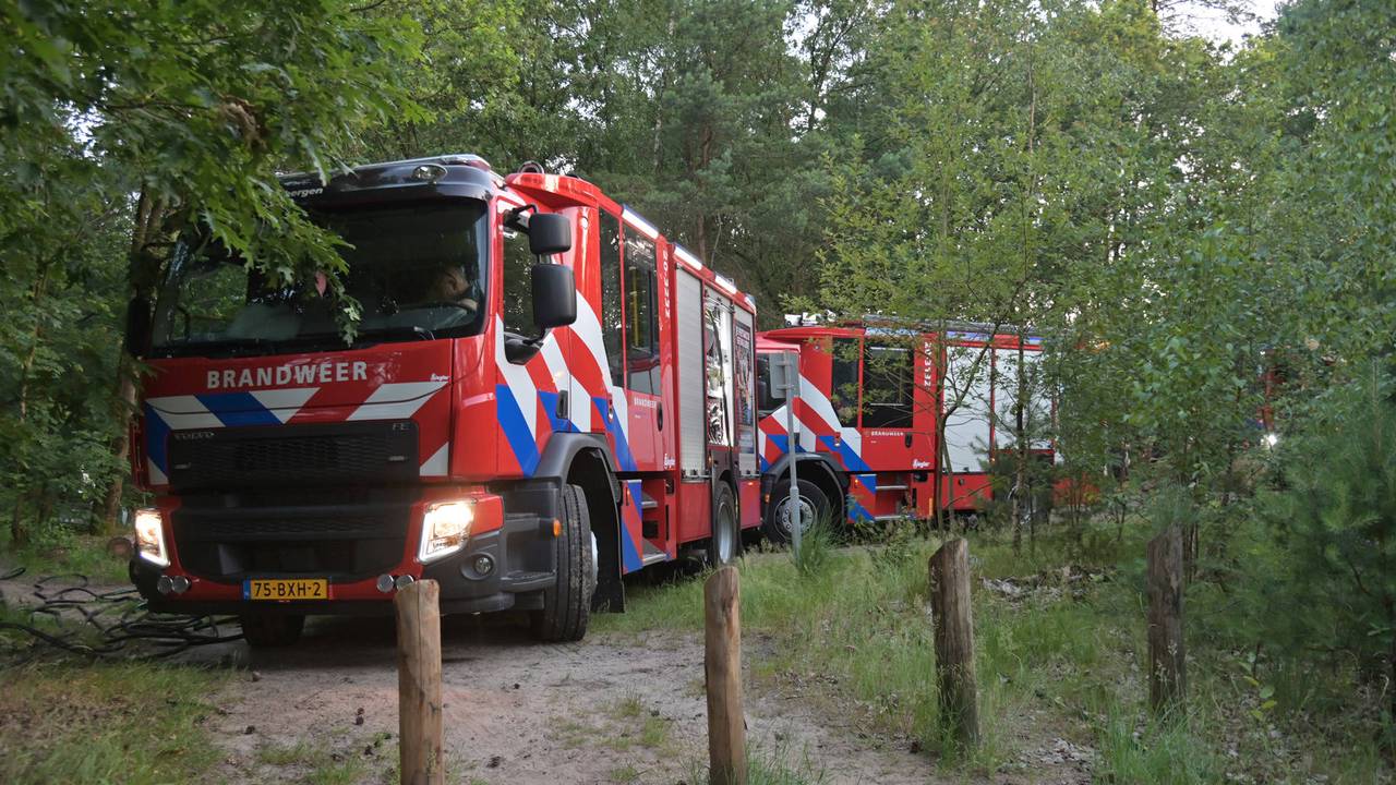 Foto: Perry Roovers / Persbureau Heitink.