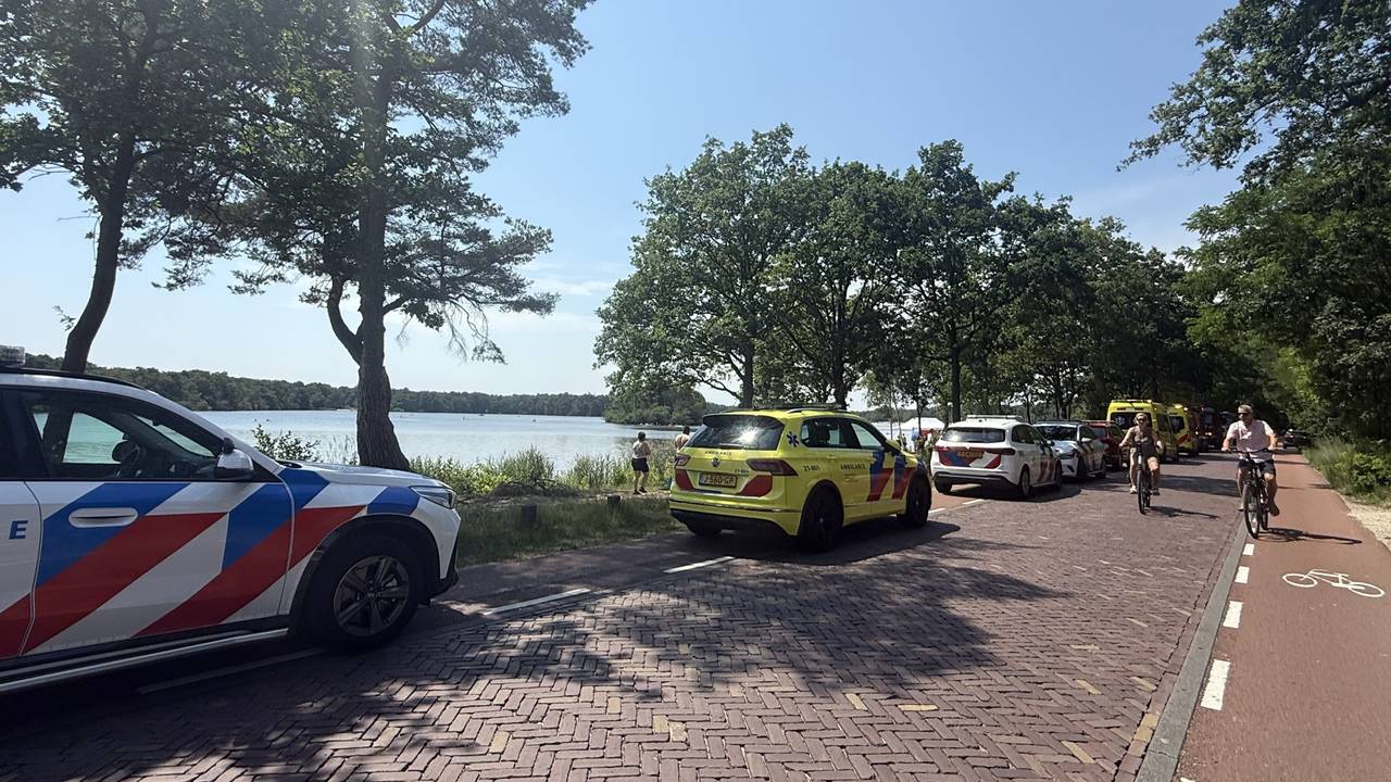 WEB_112_ZWEMMER_VUGHT