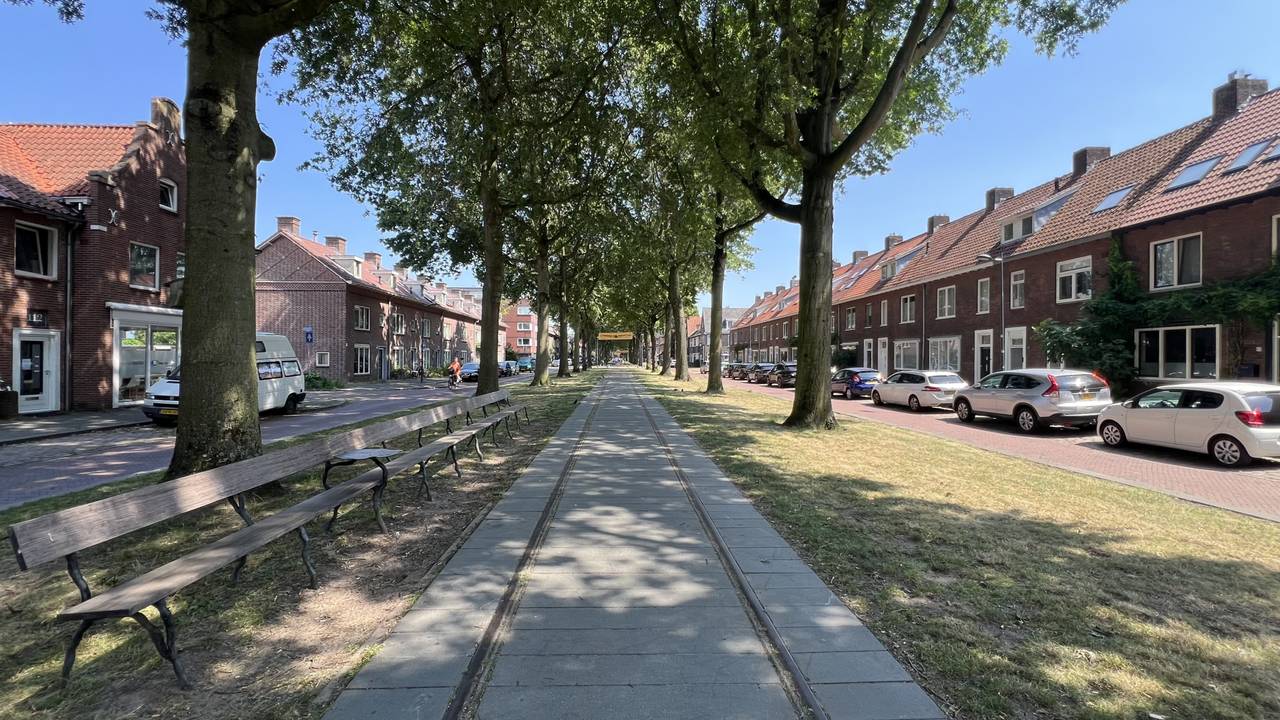 Gelukkig zorgen de bomen in de wijk voor wat verkoeling (foto: Henk Voermans).