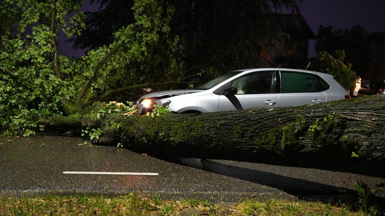 Auto botst tegen omgewaaide boom in Dongen. Foto: Persbureau Heitink