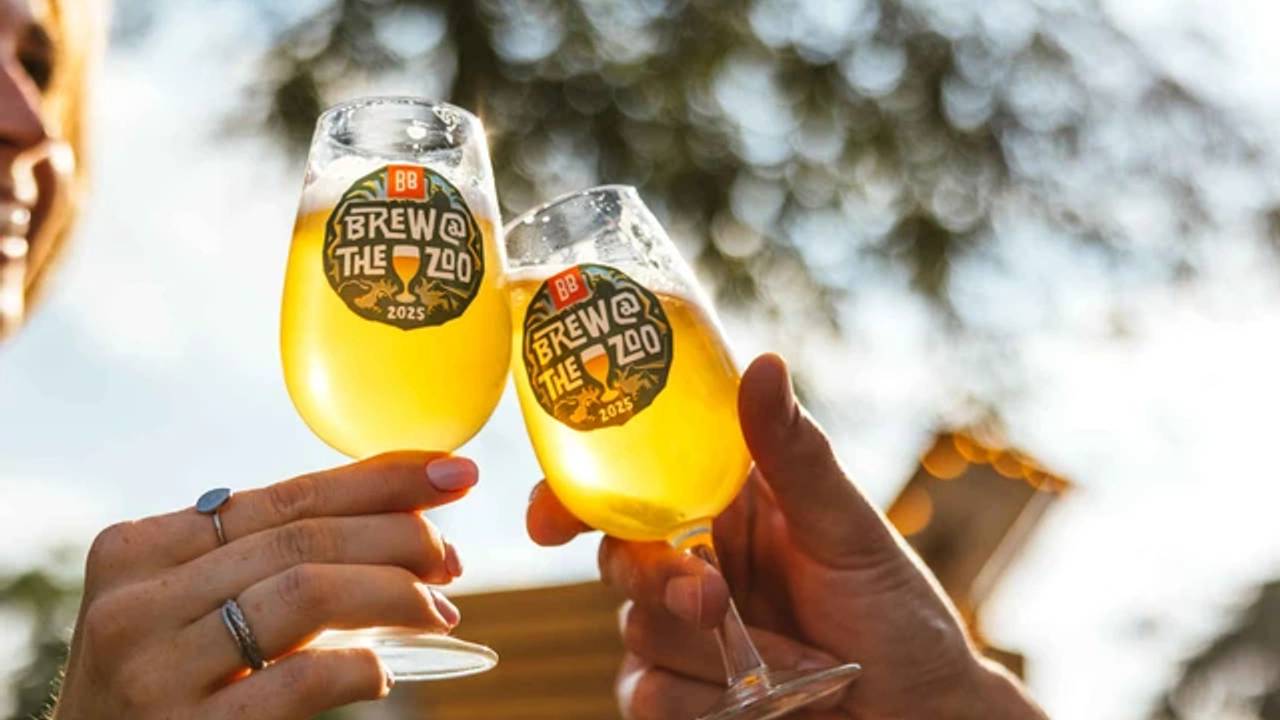 Brew@thezoo gaat wel door (foto: Beekse Bergen).