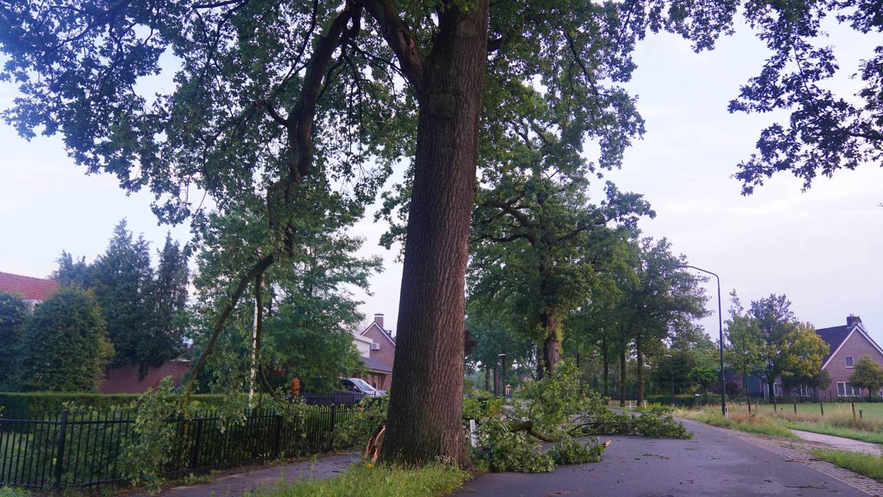 Foto: Bart Meesters/Persbureau Heitink.