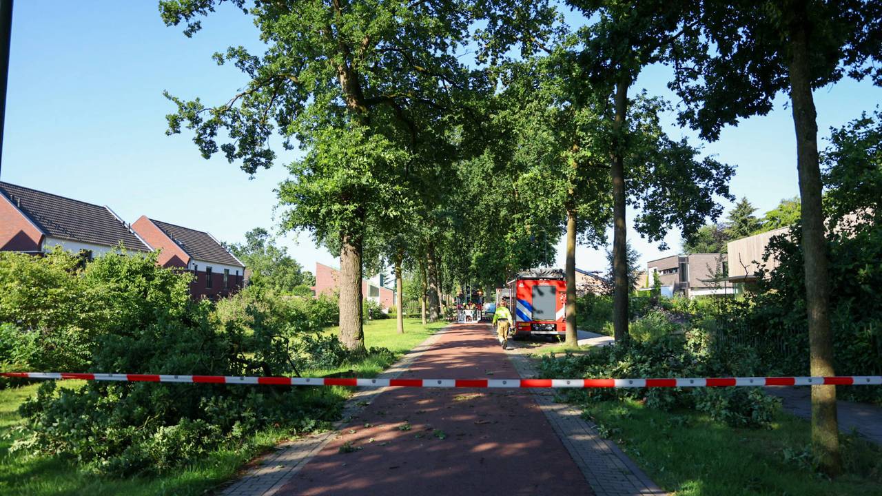 Foto: Addy Smits/Persbureau Heitink.