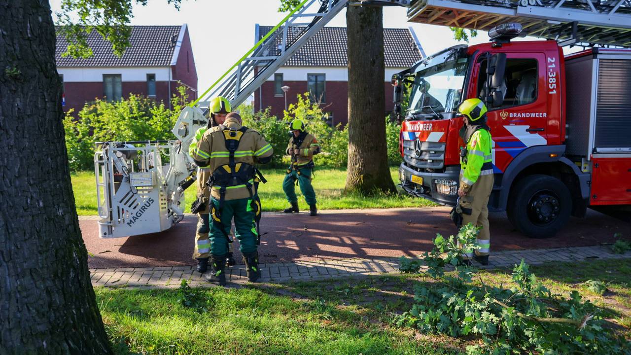 Foto: Addy Smits/Persbureau Heitink.