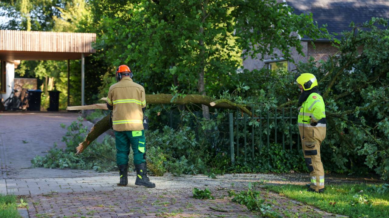Inrit van huis Uden versperd door afgebroken takken