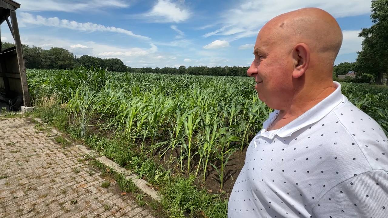 Boer Tiny Schepers uit Son neemt zondag de schade op (foto: Omroep Brabant).