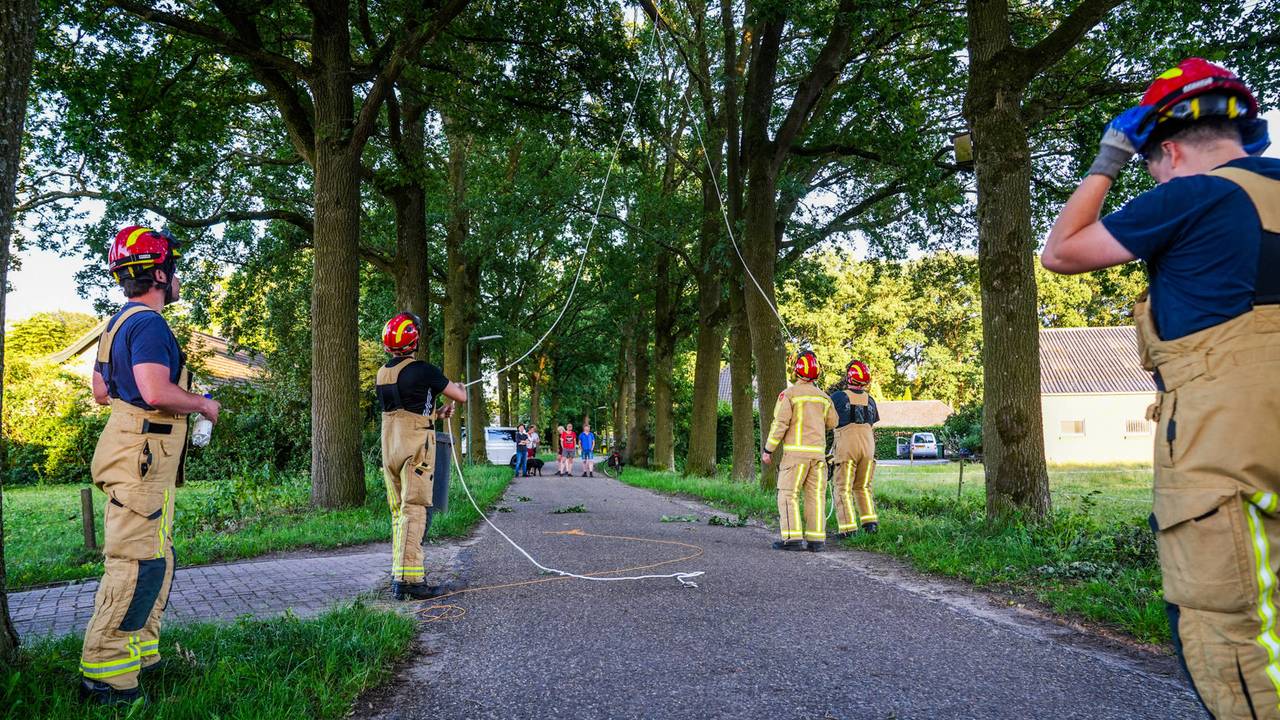 Brandweer haalt afgebroken tak met touw naar beneden in Heeze