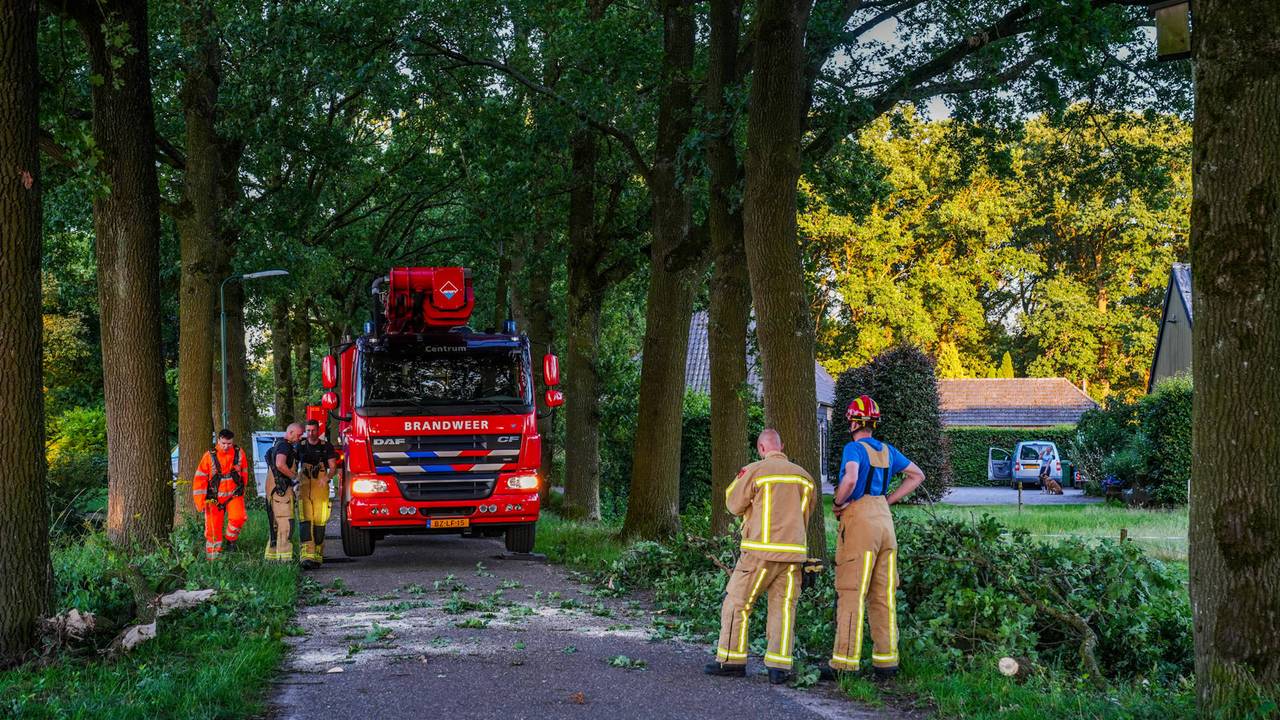 Foto: Dave Hendriks / Persbureau Heitink.