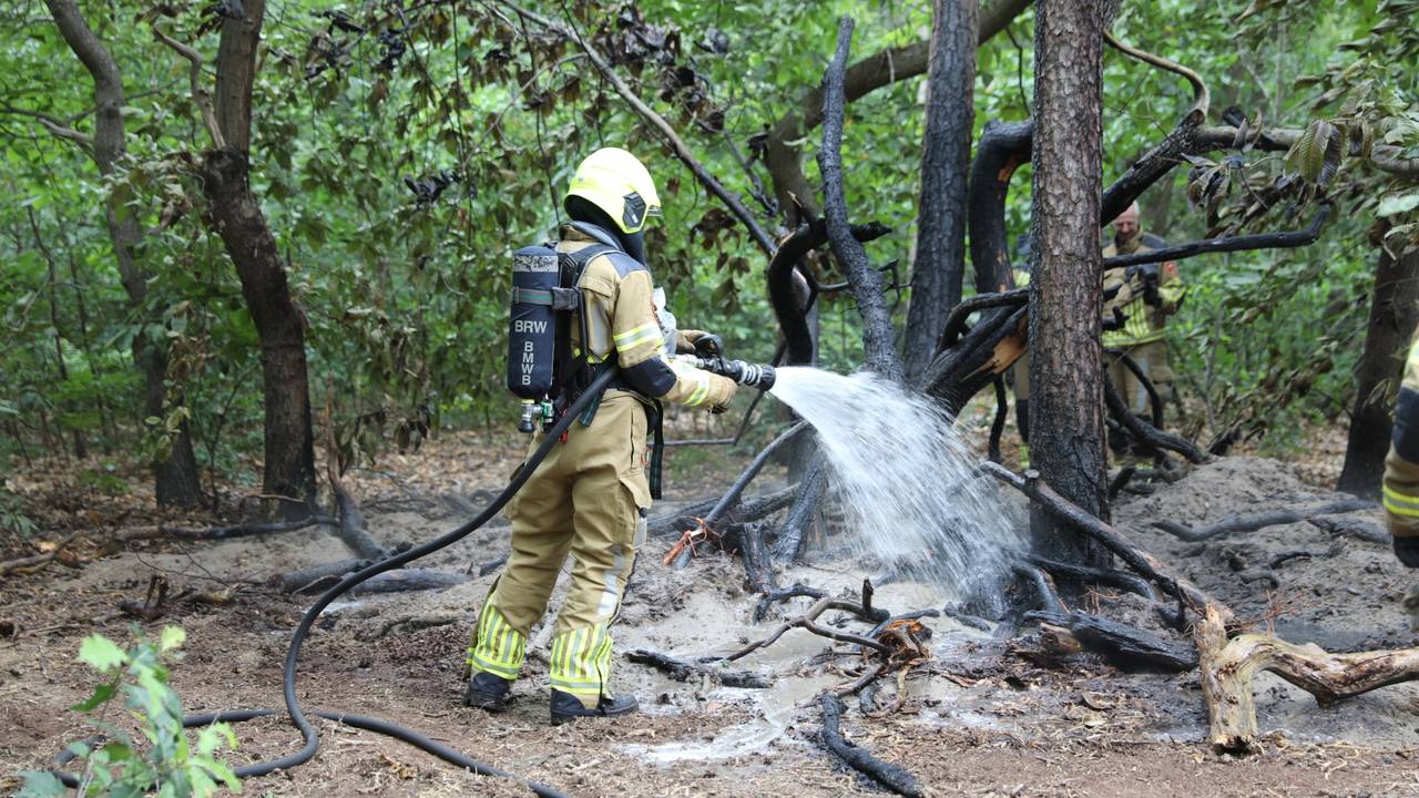 Natuurbrand in Bergen op Zoom snel onder controle