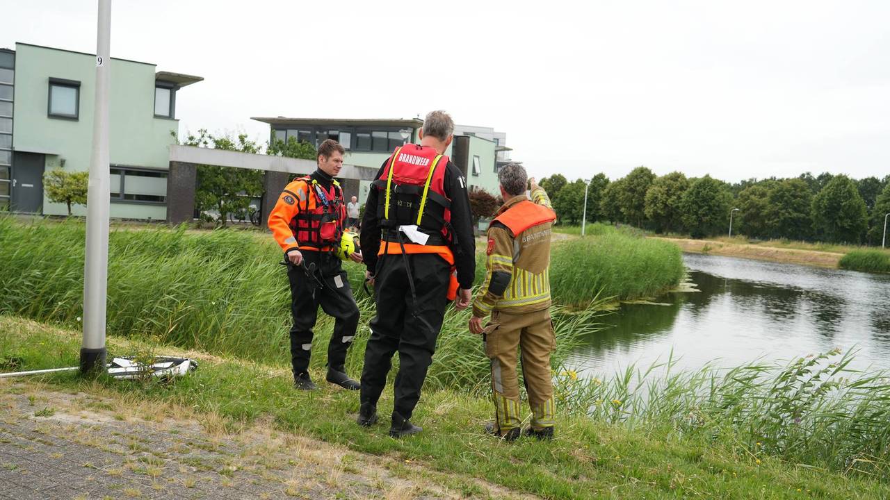 Gewonde zwaan in Tilburg laat zich niet vangen (foto: Jeroen Stuve/Persbureau Heitink).