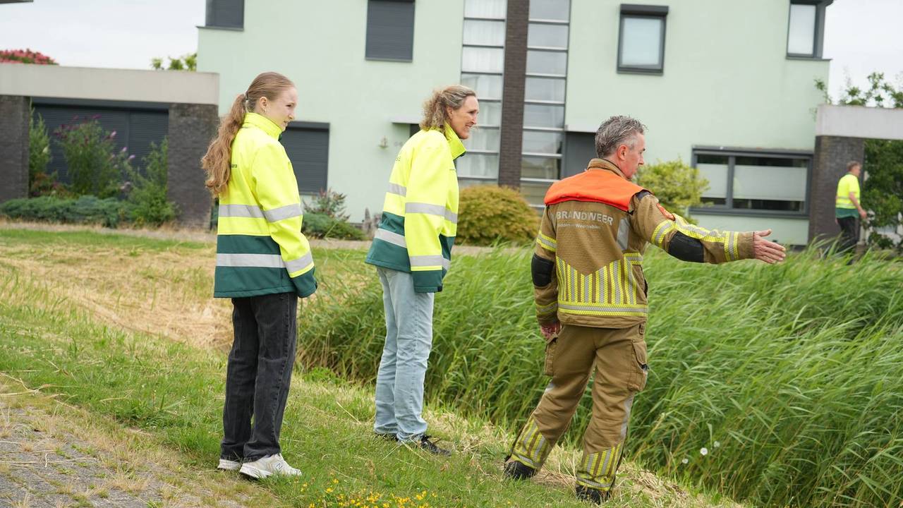 Gewonde zwaan in Tilburg laat zich niet vangen (foto: Jeroen Stuve/Persbureau Heitink).