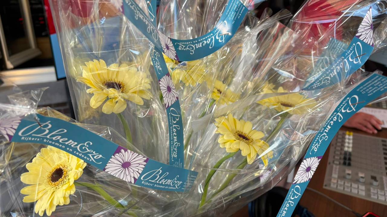 Zachtgele gerbera's op de dag van de Zachte G.