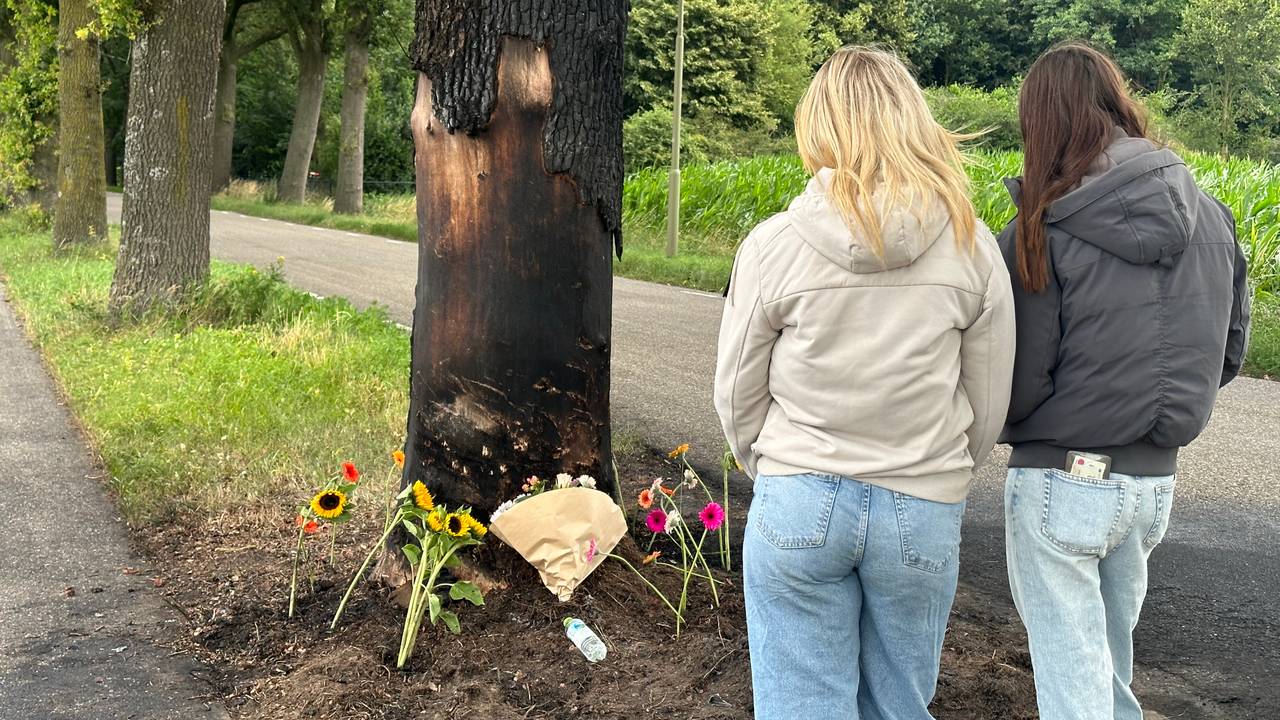 Bloemen bij plek ongeluk Boekelsedijk Zeeland (foto: Floortje Steigenga).