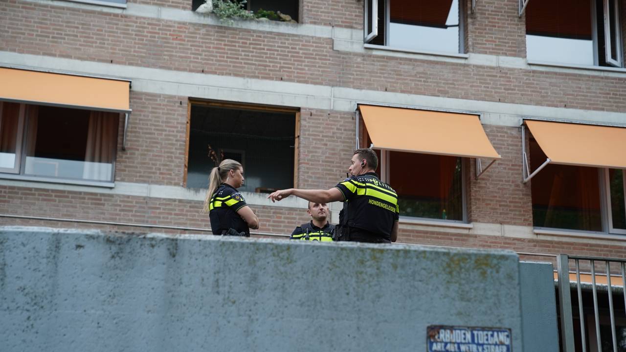 De politie is bezig met een zoekactie in Den Bosch (foto: Bart Meesters/Persbureau Heitink).