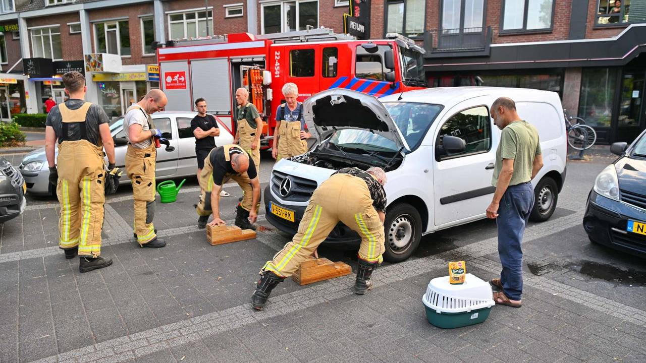 Verstopt katje zorgt voor bijzondere reddingsactie in Veldhoven (foto: Rico Vogels / Persbureau Heitink).