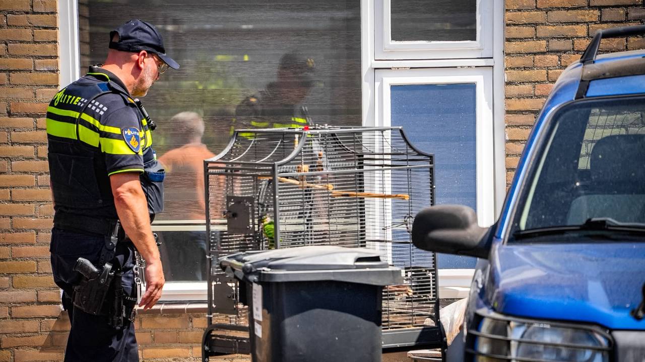 Vogeltje gered bij brand in huis Oss