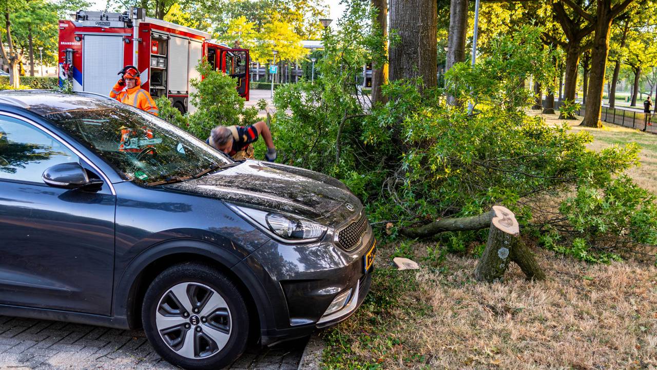 Tak valt op auto in Helmond (Foto: Harrie Grijseels/Persbureau Heitink).