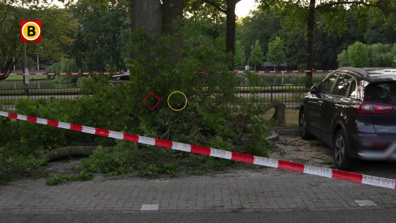 Tak valt op geparkeerde auto bij ziekenhuis in Helmond