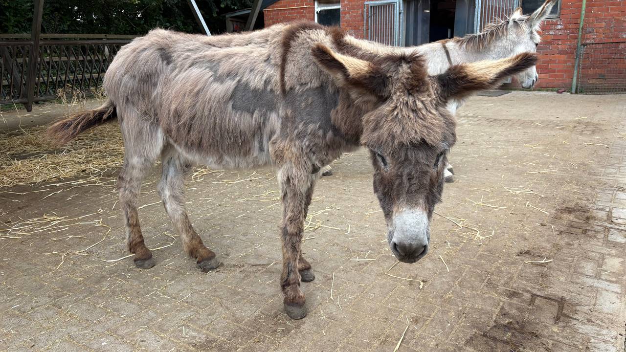 Ezel Chico viert zijn 40ste verjaardag (foto: Ruud Ritzen).
