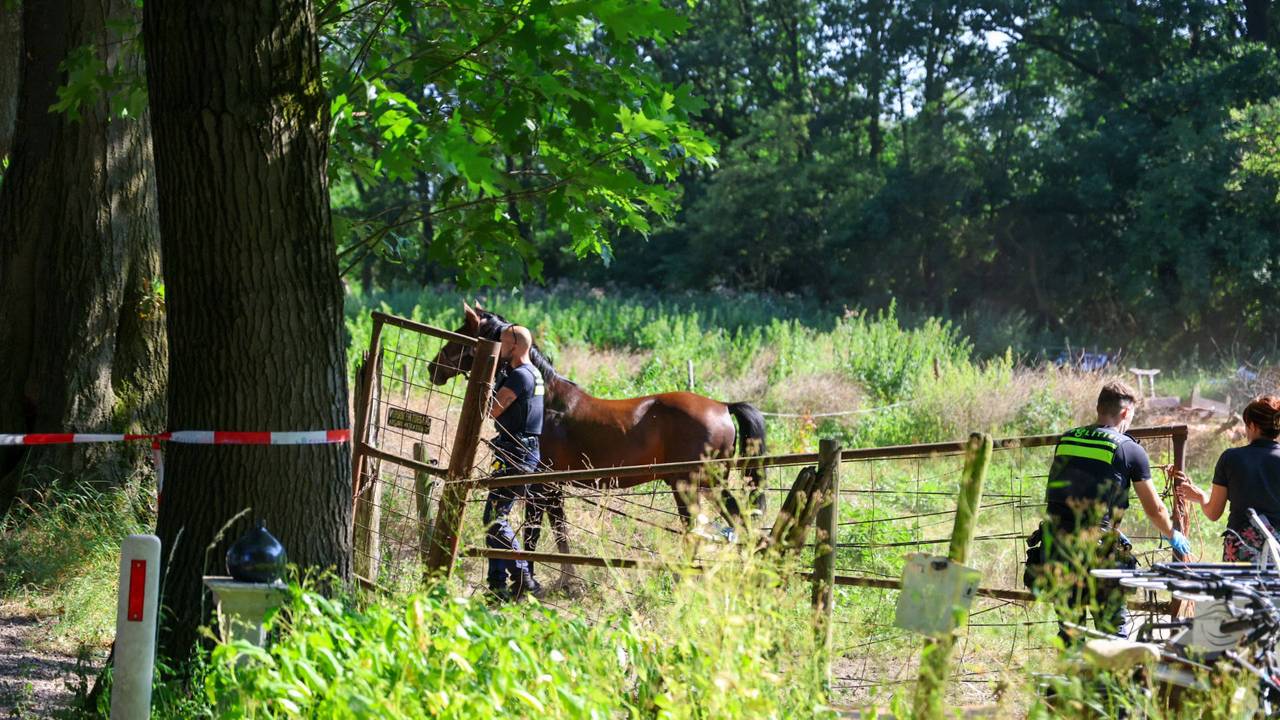 Foto: Addy smits/Persbureau Heitink.