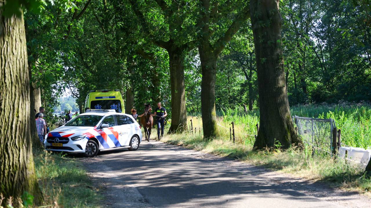 Foto: Addy Smits/Persbureau Heitink.