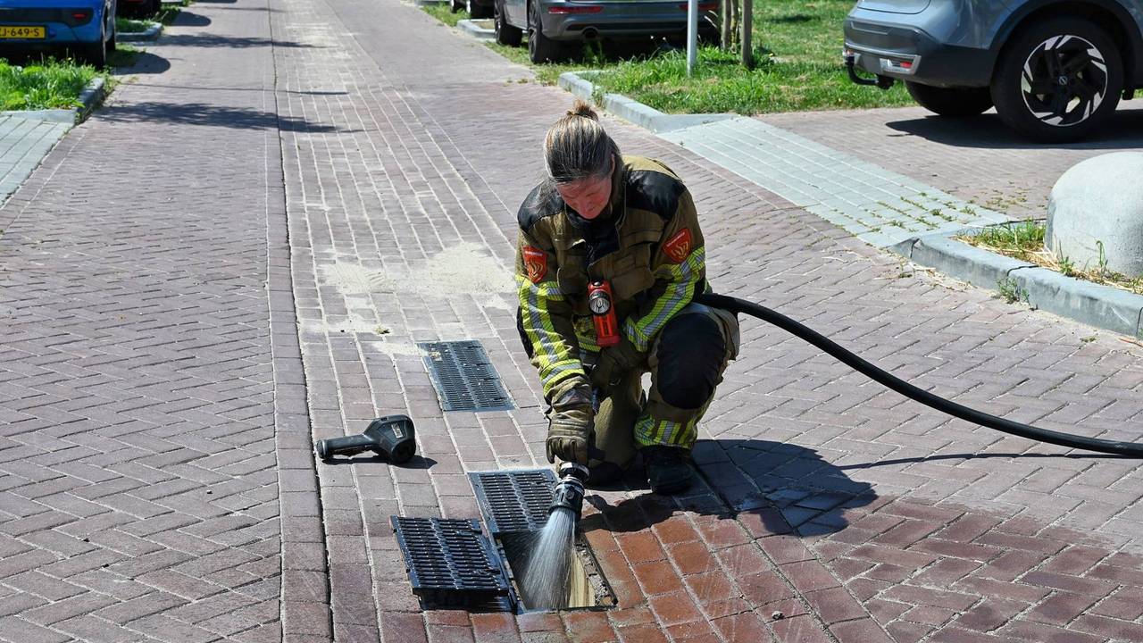  Foto: Toby de Kort/Persbureau Heitink.