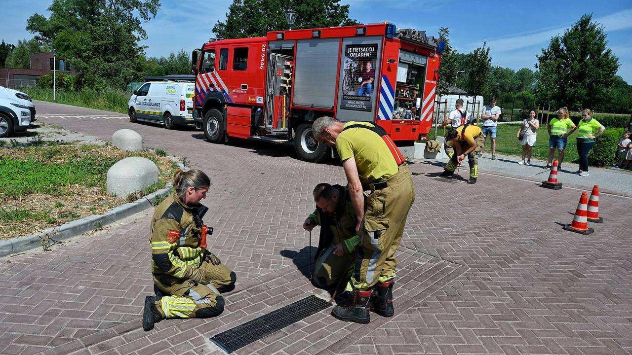 Brandweer redt kat die uren vastzit in buis onder de grond