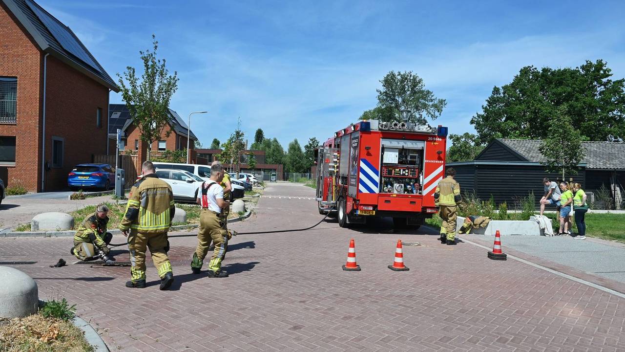  Foto: Toby de Kort/Persbureau Heitink.