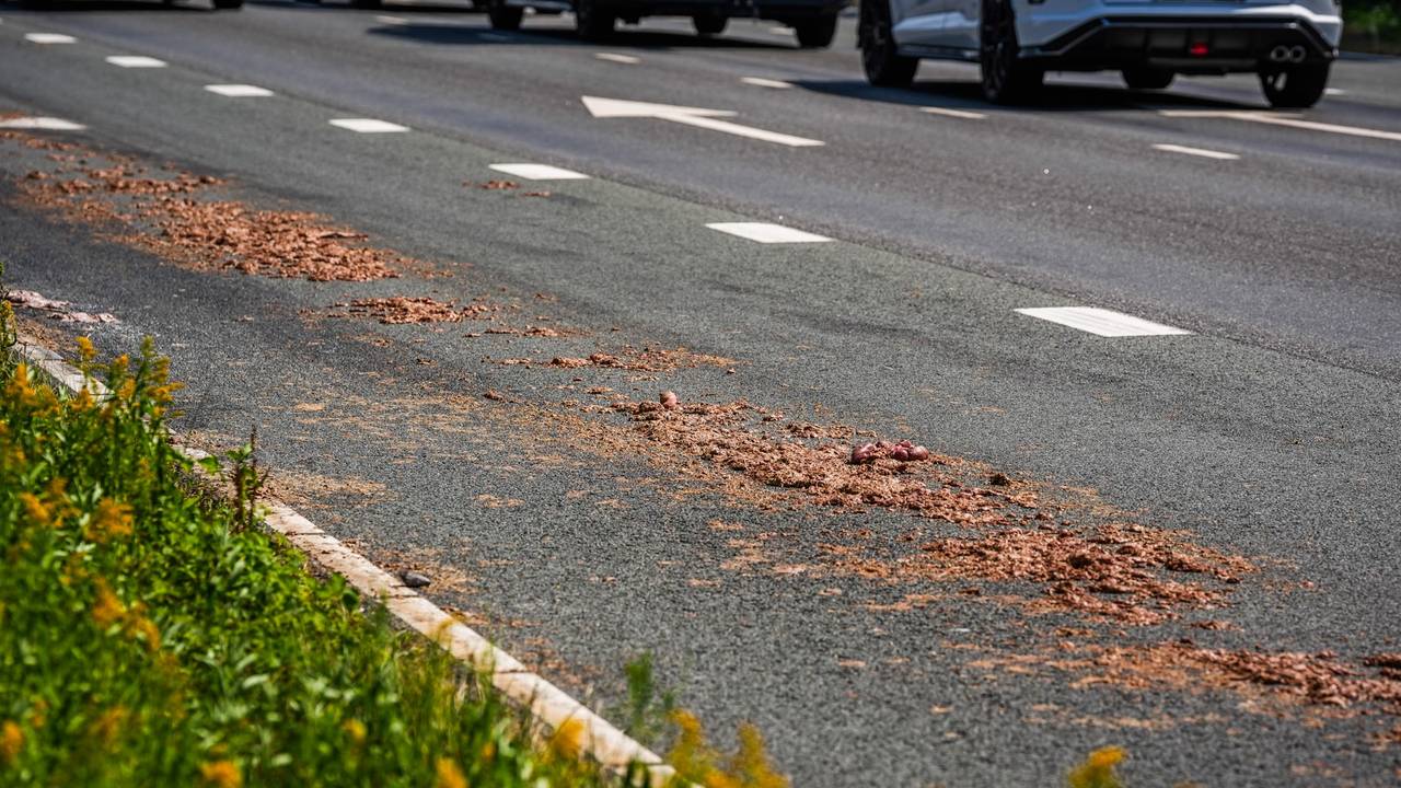 Vrachtwagen laat spoor van slachtafval achter, stank niet te harden