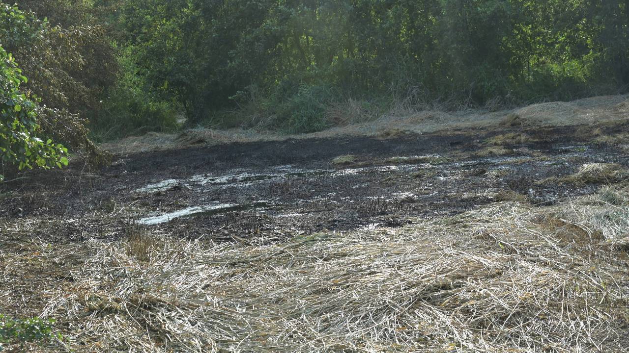 Foto: Perry Roovers/Persbureau Heitink.