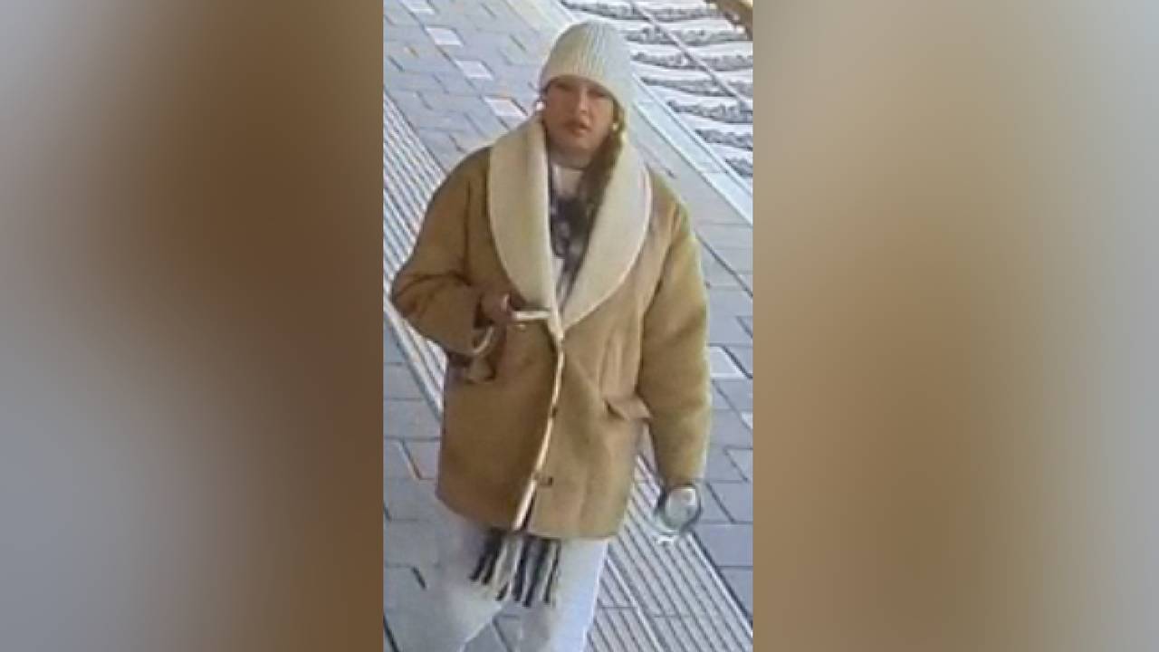 De vrouw in de trein (foto: politie).