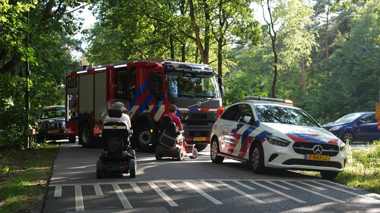 Boom valt op bejaarde wielrenner in Alphen (foto: Jeroen Stuve / Persbureau Heitink).