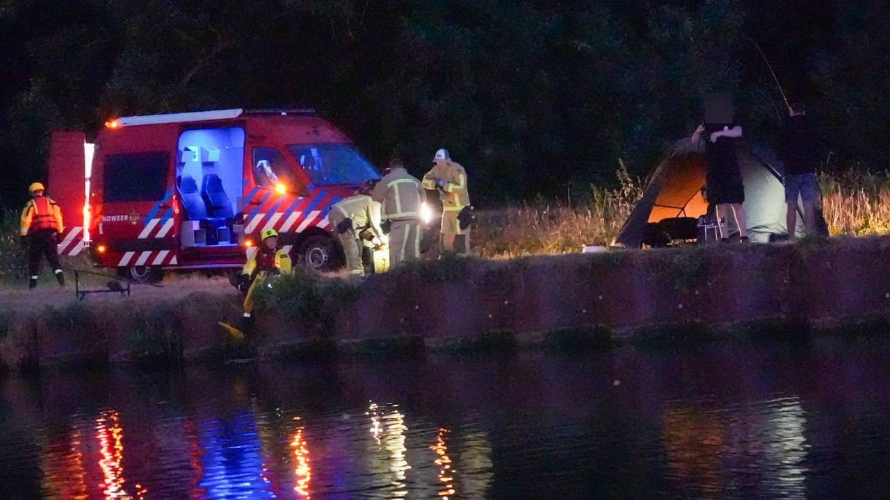 Ree schrikt van honden en springt in kanaal, redding komt te laat voor dier