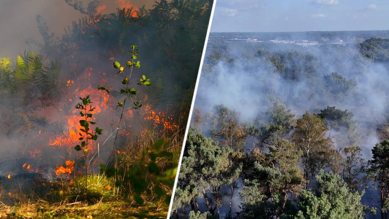 Grote natuurbrand in Geffen (foto: SQ Vision).