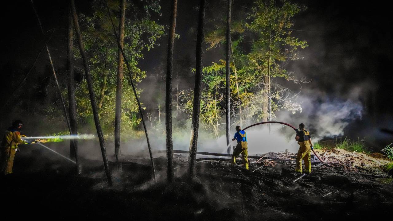 Brand in bosgebied bij Hapert laat zich moeilijk blussen (foto: Persbureau Heitink).