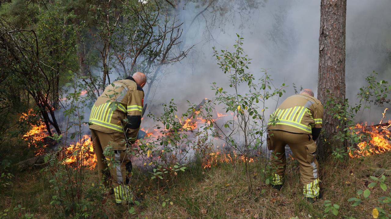 Brand uitgebroken in natuurgebied Loonse en Drunense Duinen