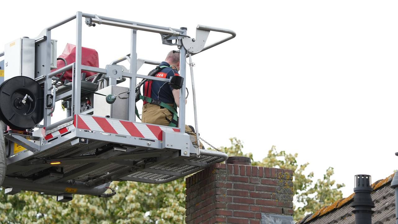 Slapeloze nachten door vogel die al vier dagen vastzit in schoorsteen