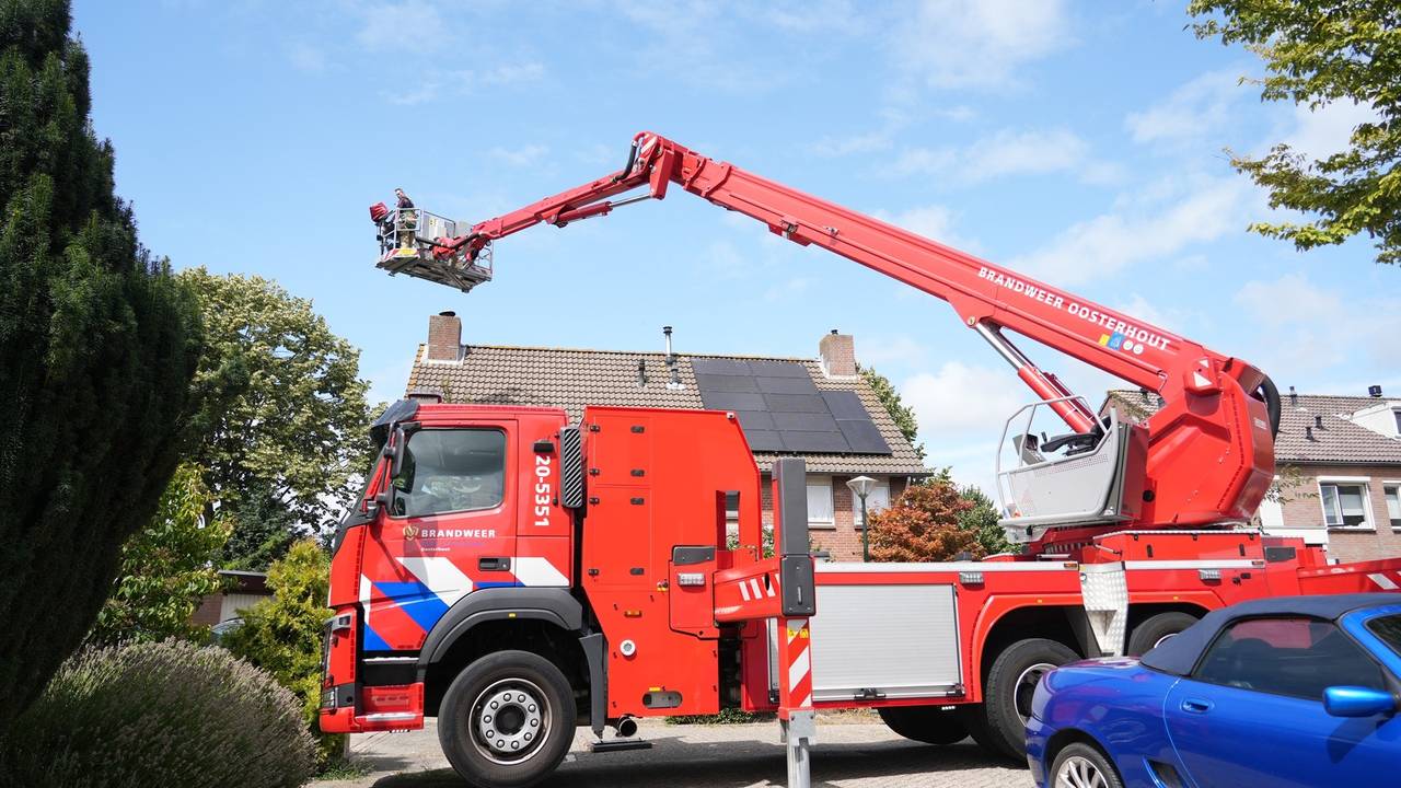 Vogel zit al vier dagen vast in schoorsteen van huis in Raamsdonksveer (foto: Jeroen Stuve / Persbureau Heitink).