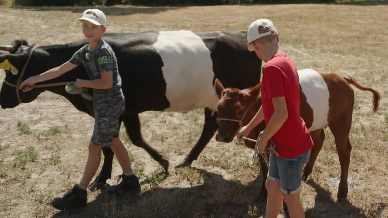 Thijs en Ries gaan aan de wandel met koe Marian