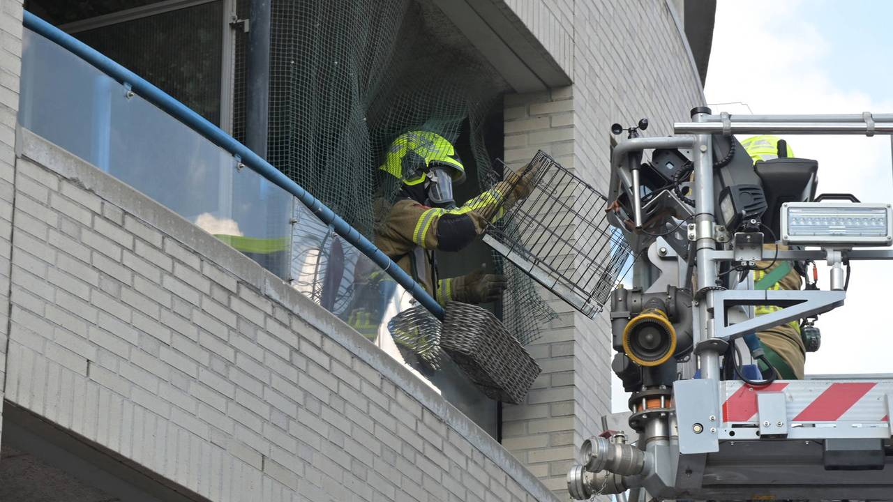 Foto: Perry Roovers/Persbureau Heitink.