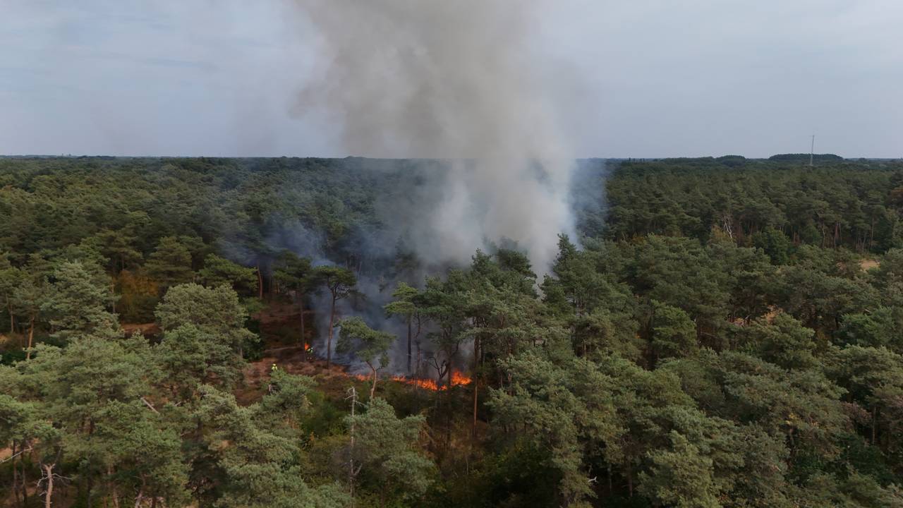Foto: Bart Meesters/Persbureau Heitink.