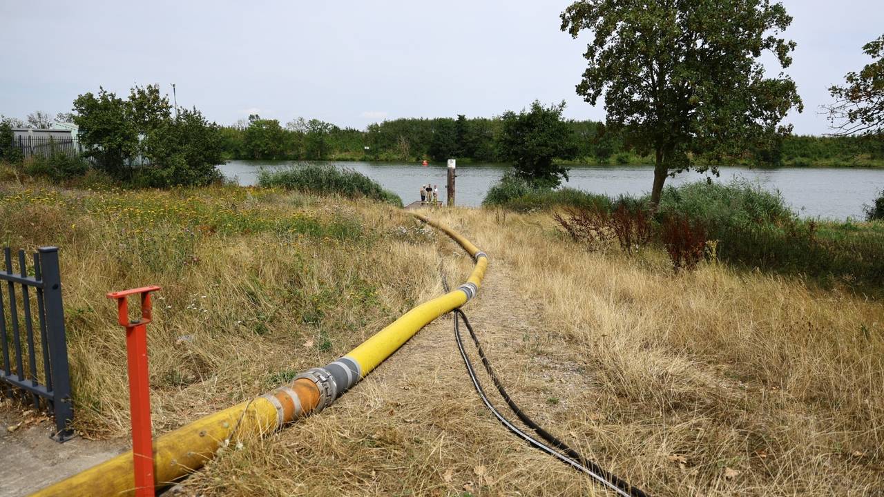 Grote bosbrand in Limburg is te ruiken in het Land van Cuijk (foto: SK-Media / Persbureau Heitink).